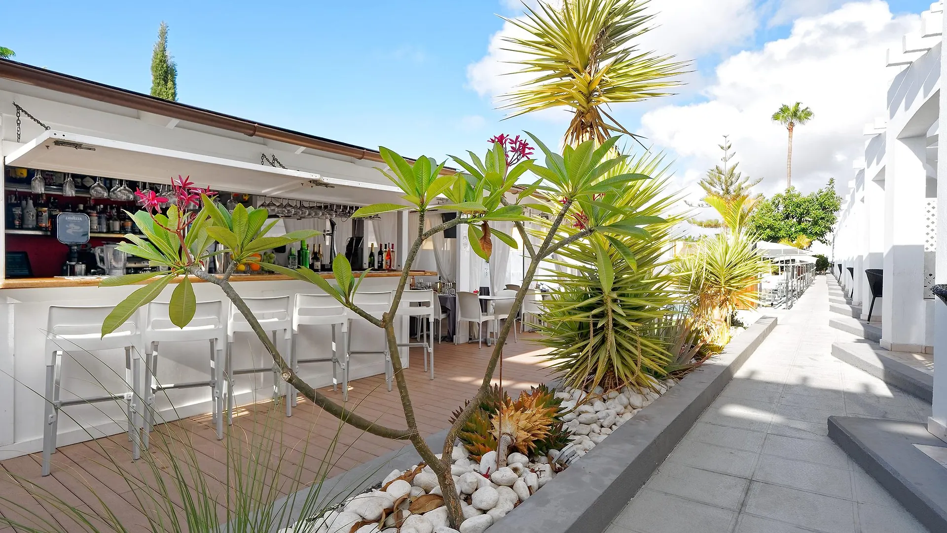*** Hotel Vista Bonita - Gay And Lesbian Only Resort (Adults Only) Maspalomas  Spain
